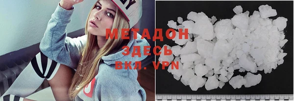 прущие грибы Иннополис